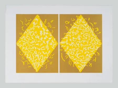 Água-Forte E Água-Tinta Accardi - Composizione (G)