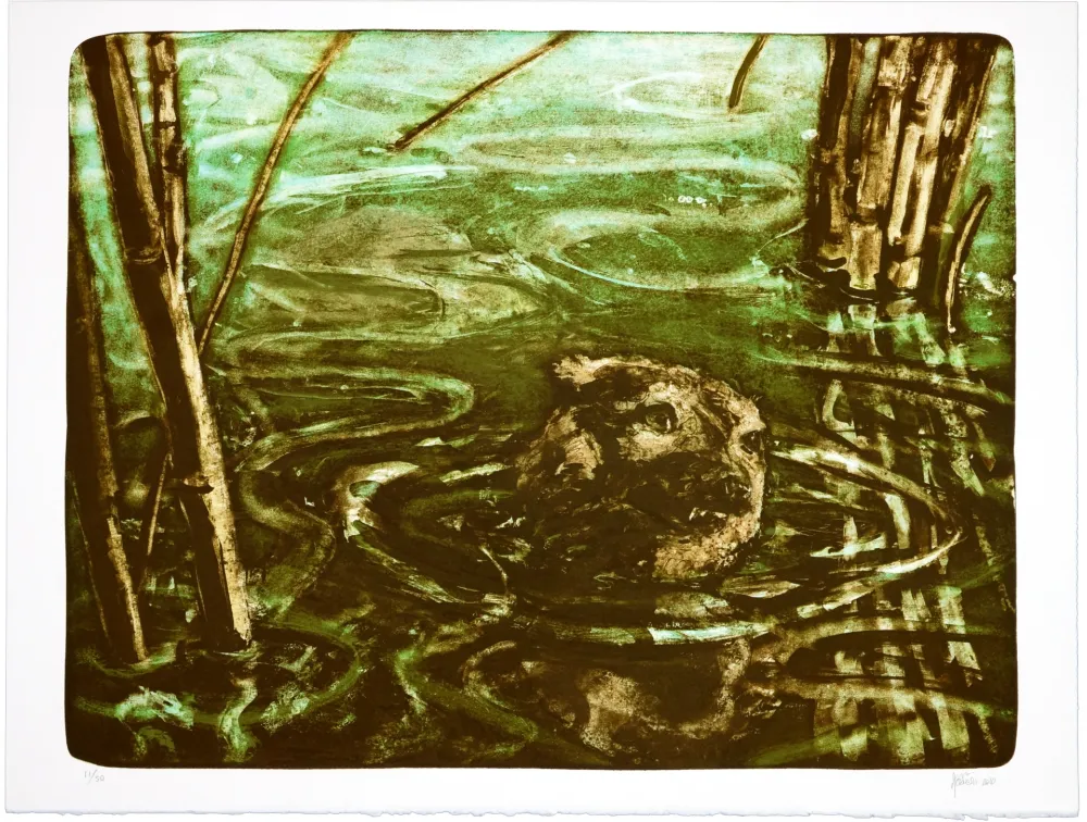 Litografia Aceves Humana - Sans titre