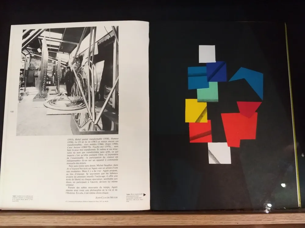 Livro Ilustrado Agam - No 51