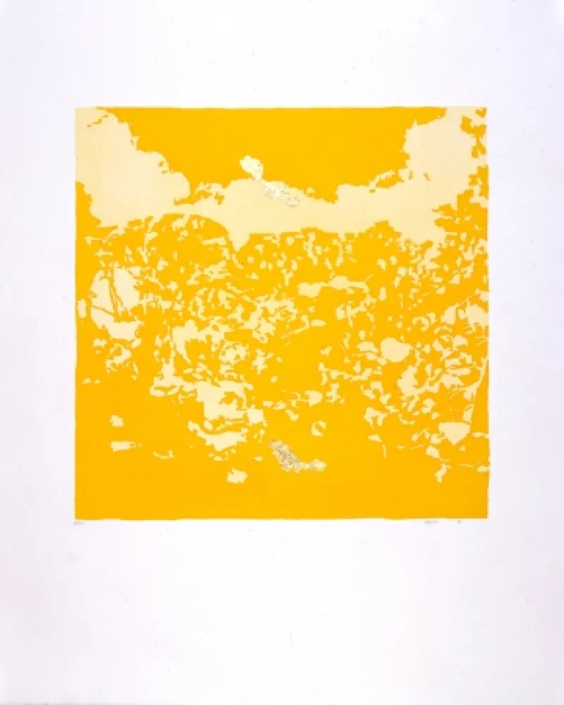 Água-Tinta Agosti - Orphée N°II