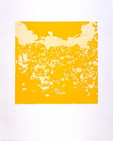 Água-Tinta Agosti - Orphée N°II