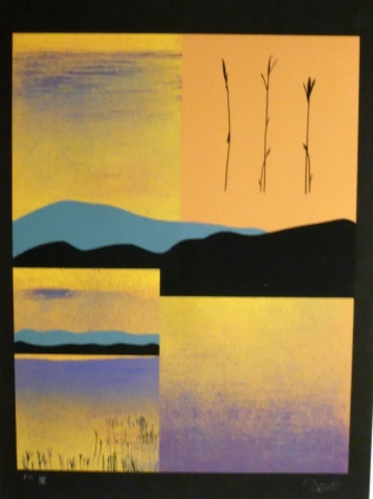 Serigrafia Aguade - Analitica 1