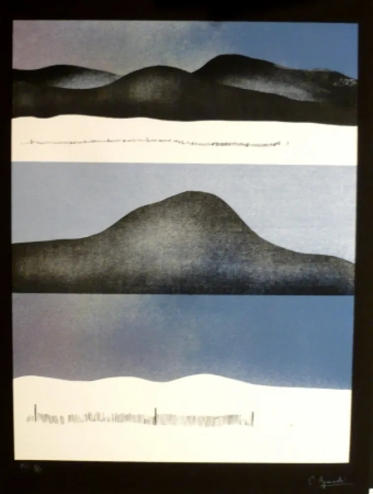 Serigrafia Aguadé - Analitica 10