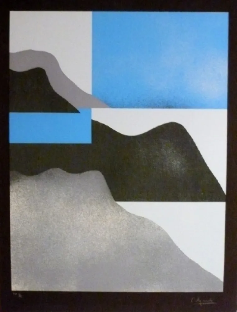 Serigrafia Aguadé - Analitica 3