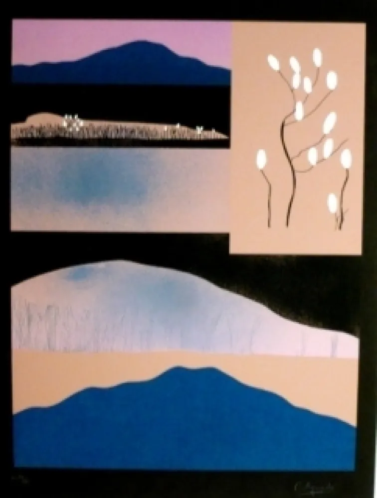 Serigrafia Aguade - Analitica 6