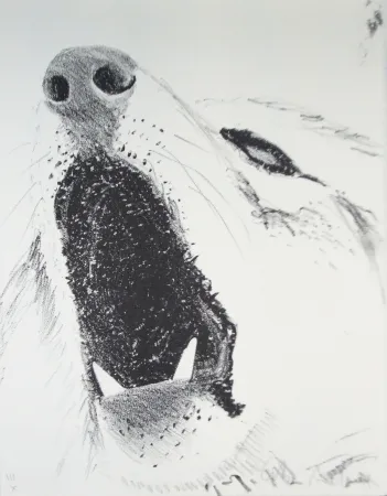 Livro Ilustrado Aillaud - L'Encyclopédie de tous les animaux - Tome III