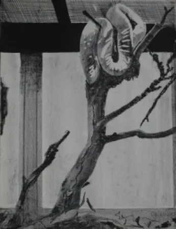 Litografia Aillaud - Serpent