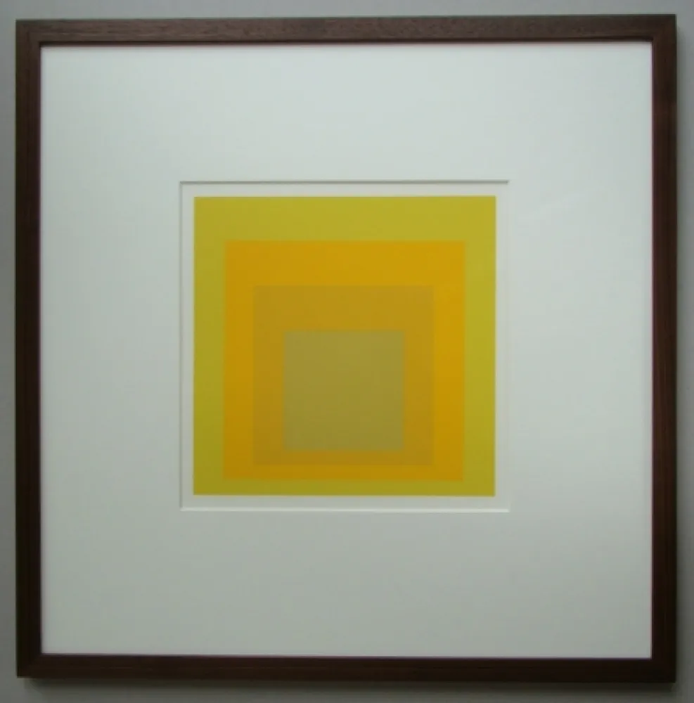 Sem Técnica Albers - Homage to the Square
