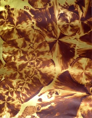 Fotografia Albin Guillot - Micrographie décorative