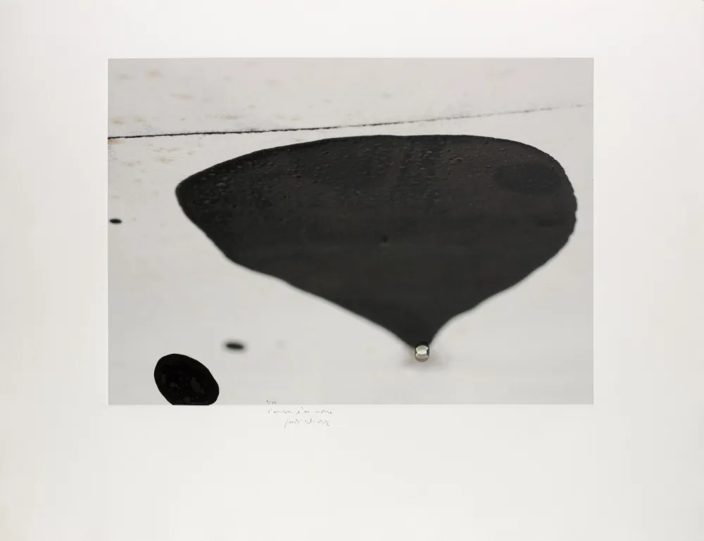 Serigrafia Alcaraz - L’ombra d’un vidre