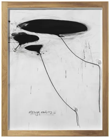 Sem Técnica Alcaraz - Sin titulo