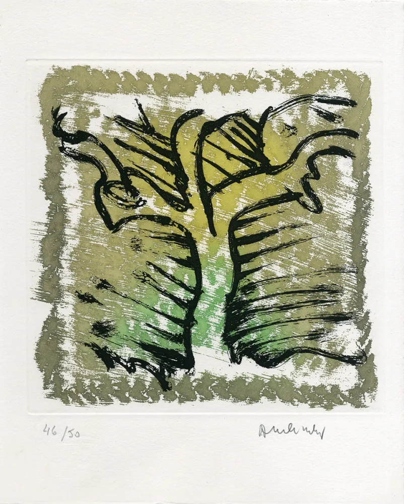 Água-Forte E Água-Tinta Alechinsky - Choses rapportées du Japon