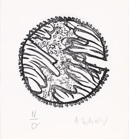 Água-Forte E Água-Tinta Alechinsky - Chronique de la neige