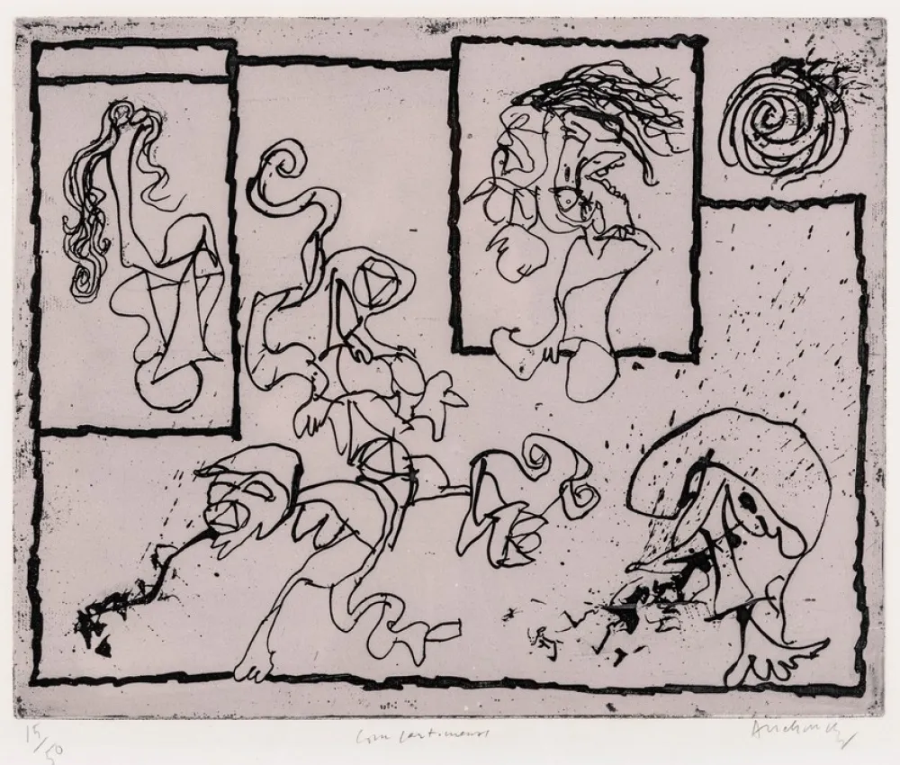 Água-Forte Alechinsky - Compartiments