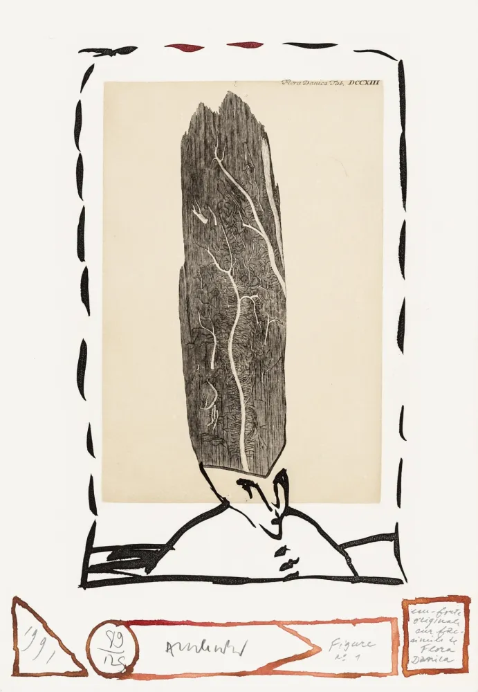 Água-Forte Alechinsky - Flore danoise 01 - Le magister