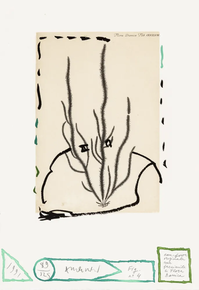 Água-Forte Alechinsky - Flore danoise 04 - Humus voltige