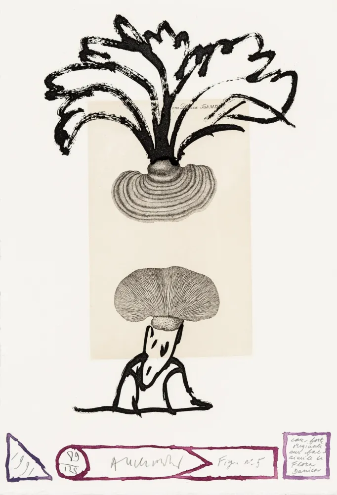 Água-Forte Alechinsky - Flore danoise 05 - Panaches