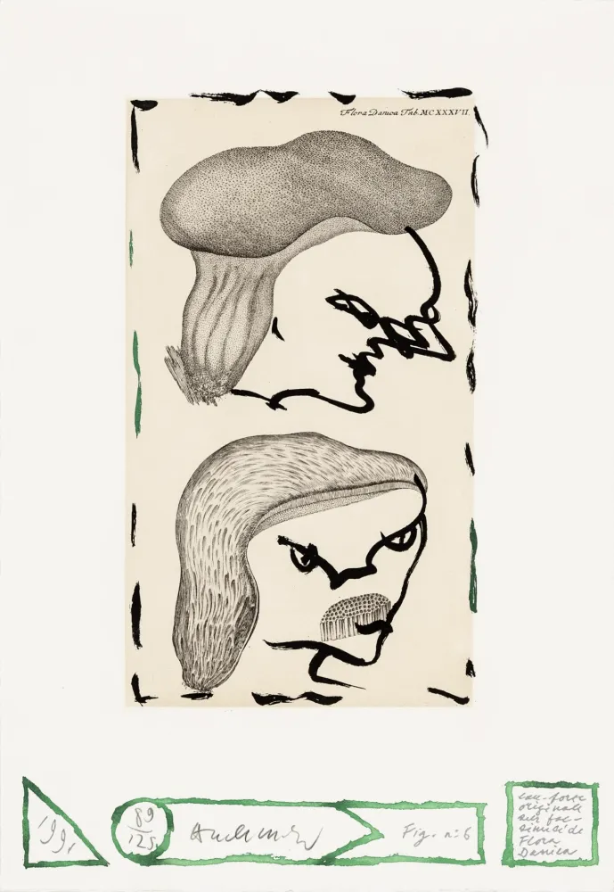 Água-Forte Alechinsky - Flore danoise 06 - Naissance des masques