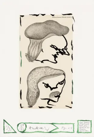 Água-Forte Alechinsky - Flore danoise 06 - Naissance des masques