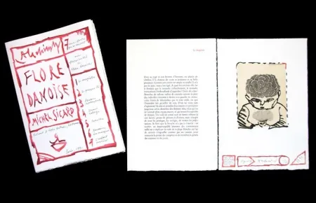 Livro Ilustrado Alechinsky - FLORE DANOISE