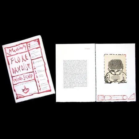 Livro Ilustrado Alechinsky - Flore danoise