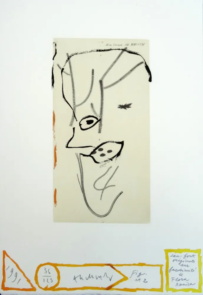 Água-Forte Alechinsky - Flore danoise : De presque-là