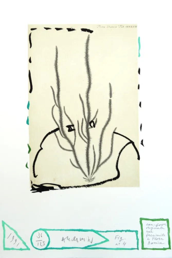 Água-Forte Alechinsky - Flore danoise : Humus voltige