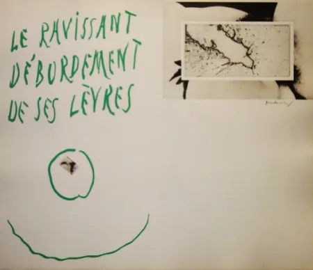 Água-Forte E Água-Tinta Alechinsky - La ravissant débordement de ses lèvres