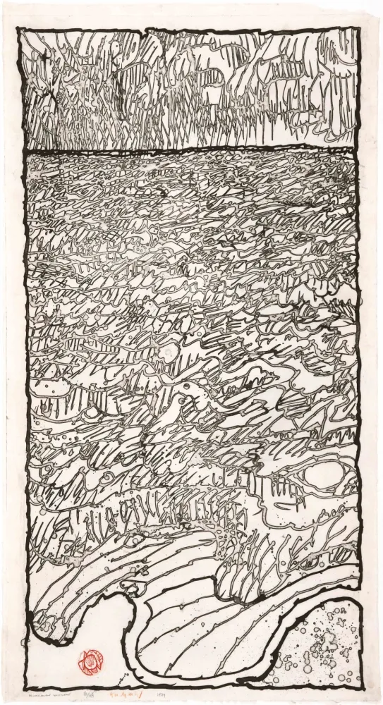 Água-Forte Alechinsky - Mouvement couvrant