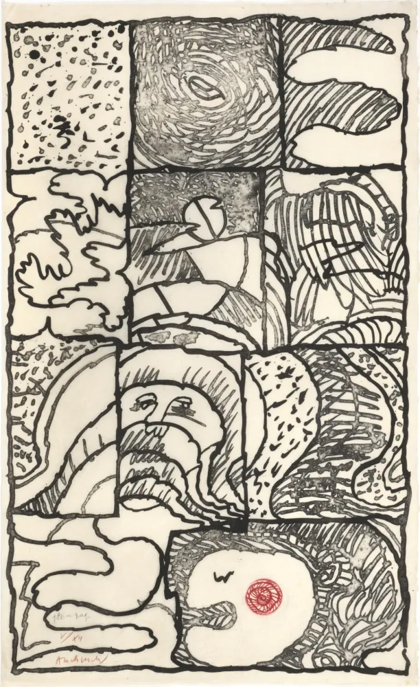 Água-Forte E Água-Tinta Alechinsky - Pleine page