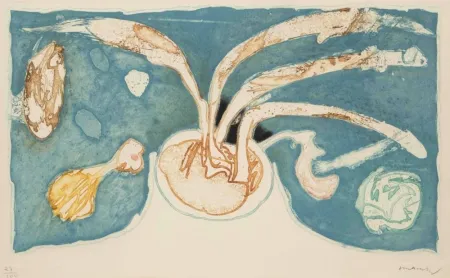 Água-Forte E Água-Tinta Alechinsky - Volcan de nuit