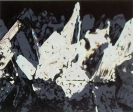 Litografia Alexander - Sans titre