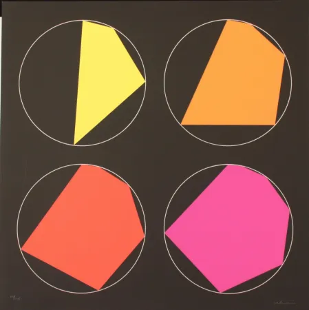 Serigrafia Alviani - PROGRESSIVI ISCRITTI NEL CERCHIO