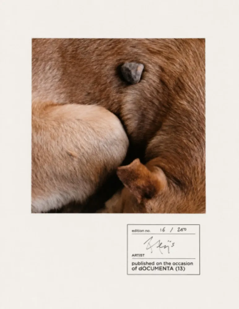 Fotografia Alÿs - Untitled (documenta 13)