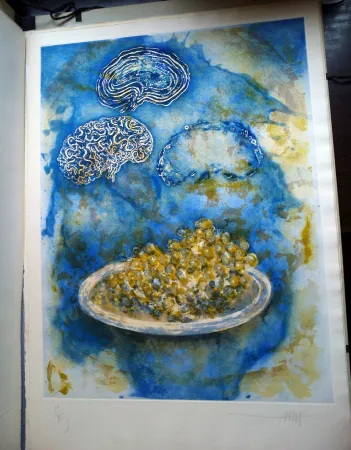 Livro Ilustrado Amat - La Ventada del somni