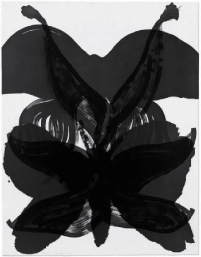 Água-Forte Amorales - Mod. 2