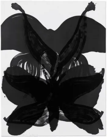 Água-Forte Amorales - Mod. 2