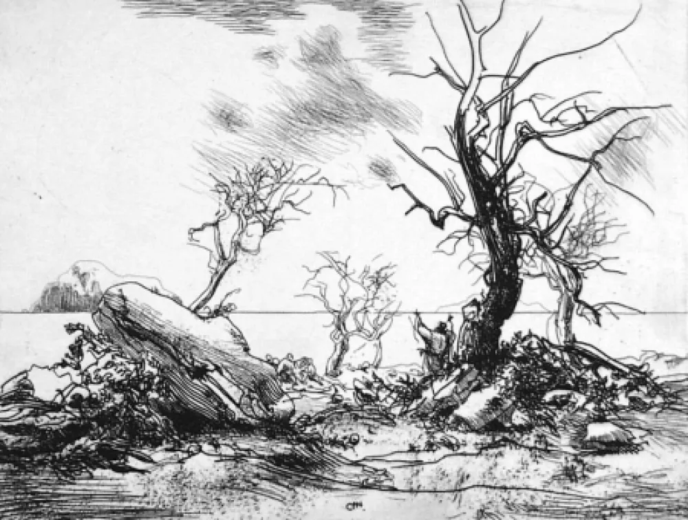 Água-Forte Annigoni - Paesaggio