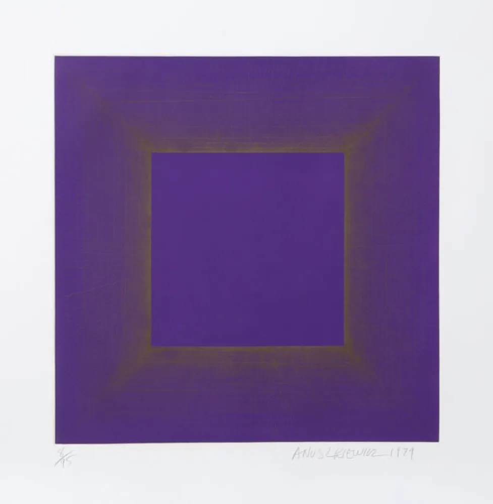 Água-Tinta Anuszkiewicz - Midnight Suite (Purple with Silver)