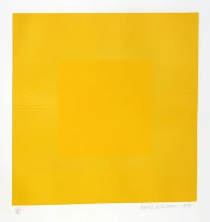 Água-Forte E Água-Tinta Anuszkiewicz - Summer Suite (Yellow with Yellow)