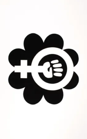 Serigrafia Apfelbaum - NOW - National Organization of Women