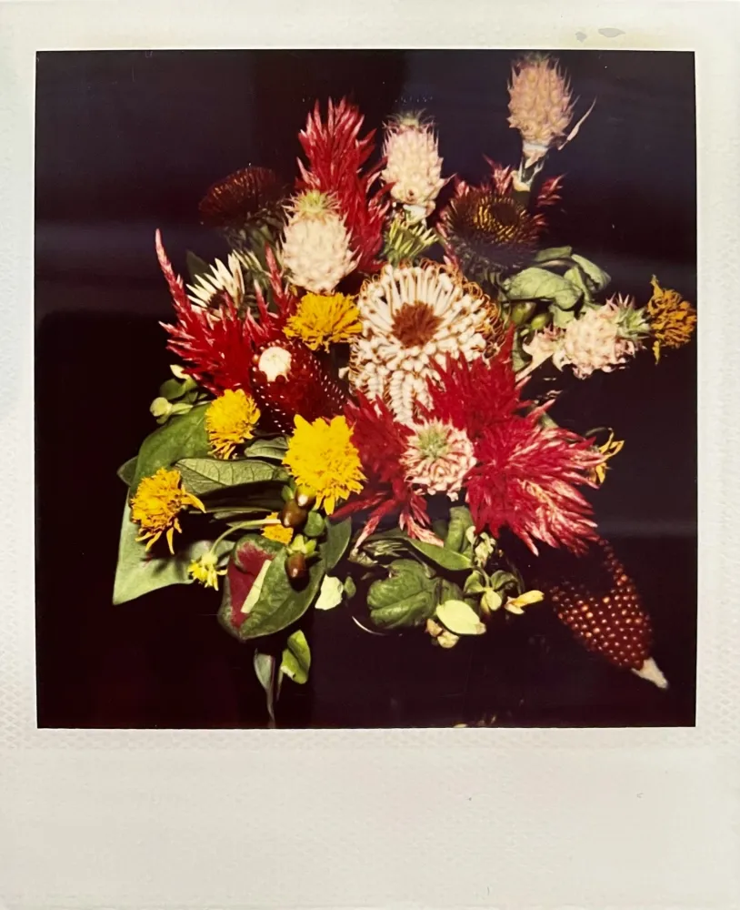 Múltiplo Araki - Polaroid #1