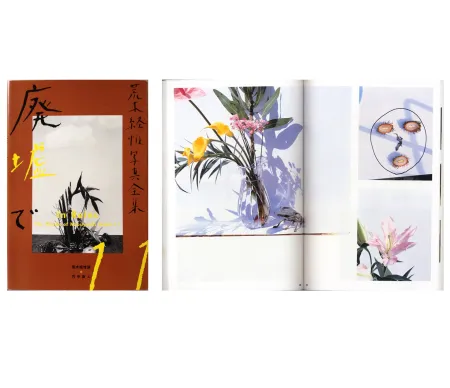Fotografia Araki - The Works of Nobuyoshi Araki - n° 11. IN RUINS