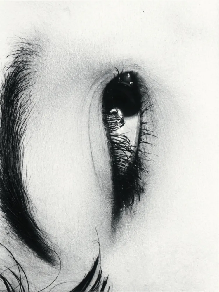 Múltiplo Araki - Untitle from Erotos