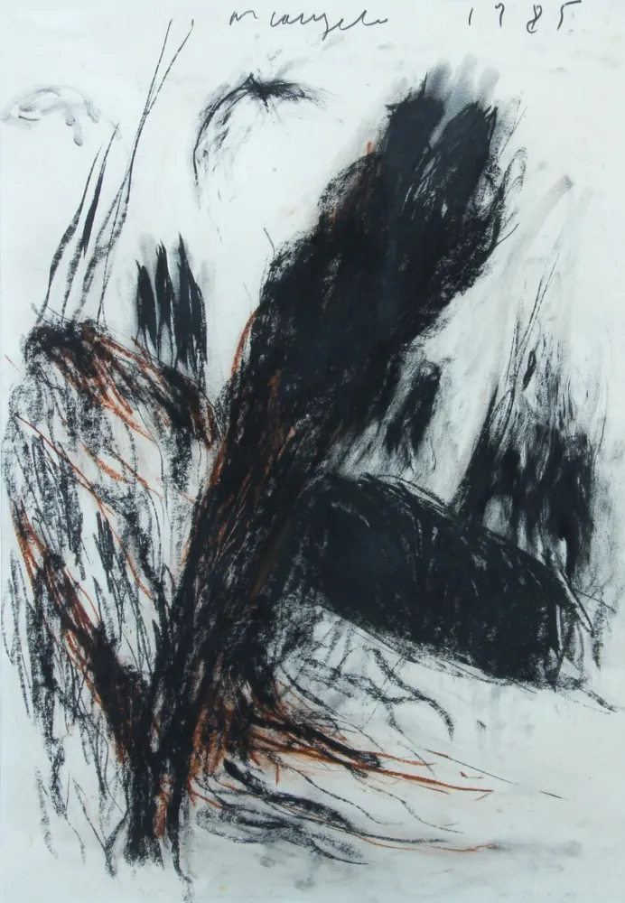 Sem Técnica Arcangelo - NOTTI DI DEMONI