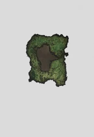 Gravura Argimon - S/T