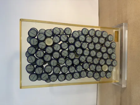 Sem Técnica Arman - Bon santé V, 1996 