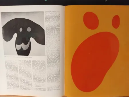 Livro Ilustrado Arp - Xxe No 11