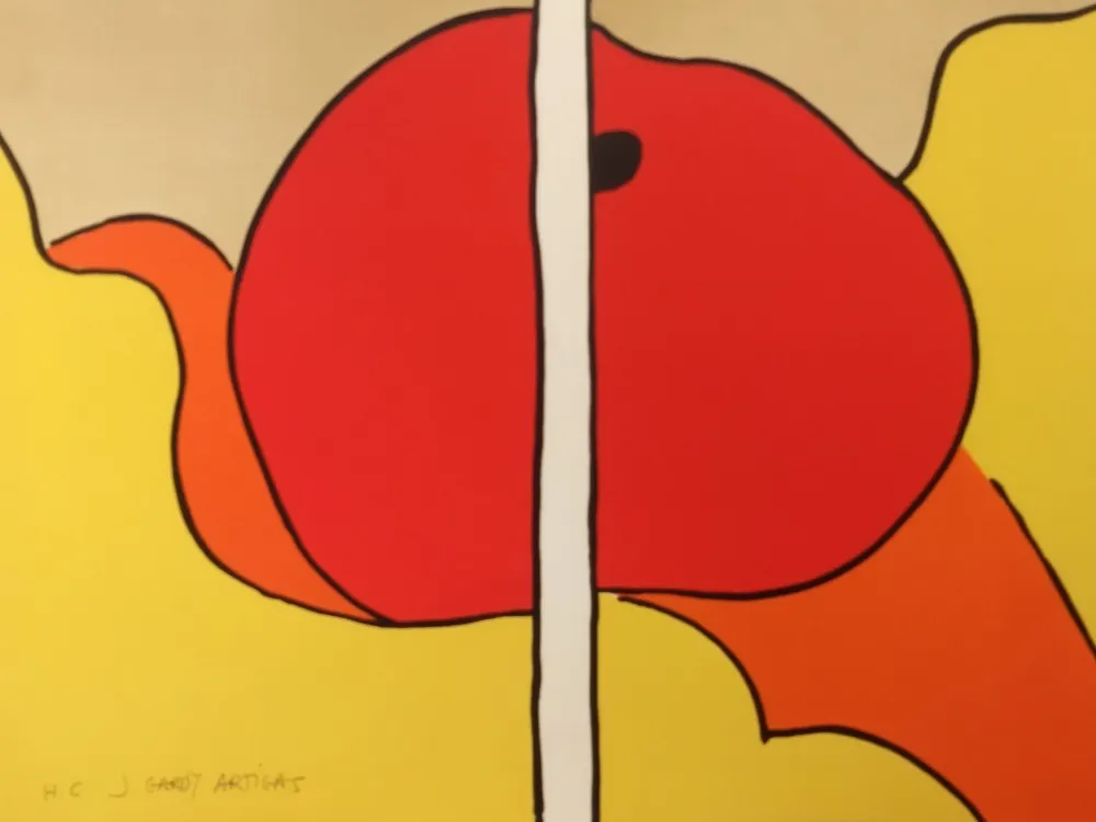 Litografia Artigas - Litho HC