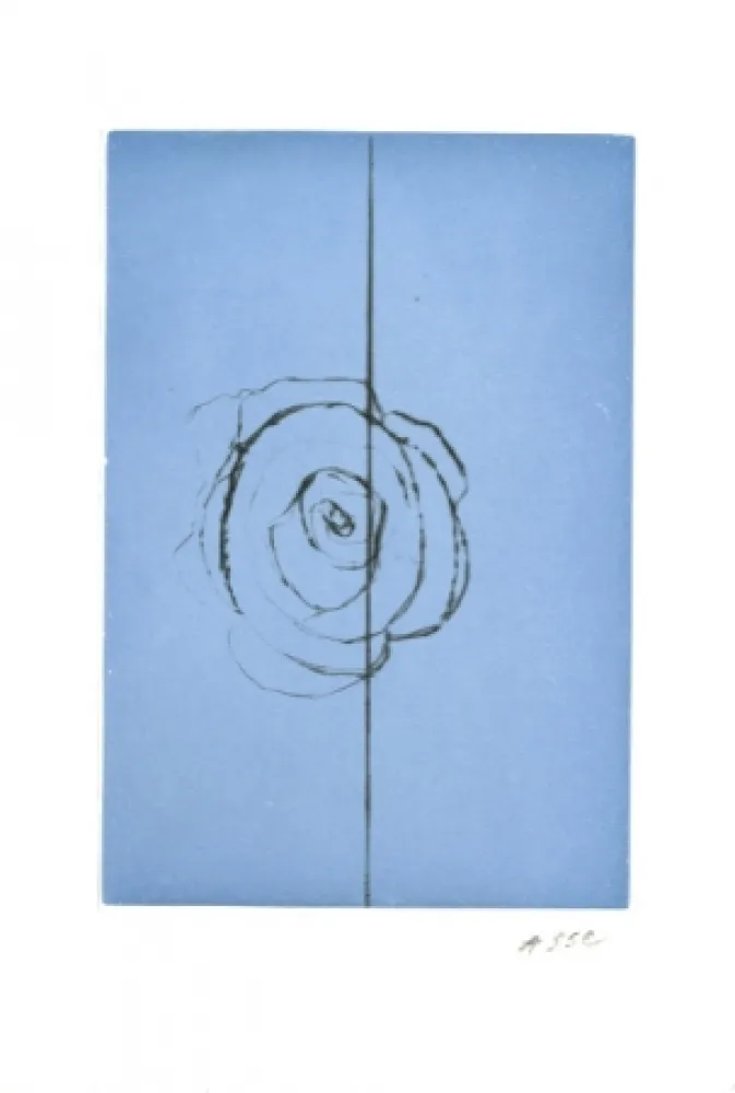 Água-Forte E Água-Tinta Asse - La fabrique des fleurs